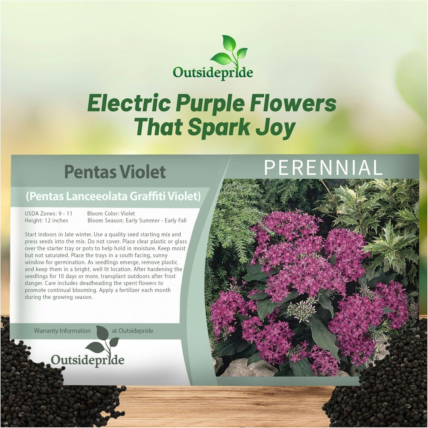 Pentas Violet Flower Seed Packet