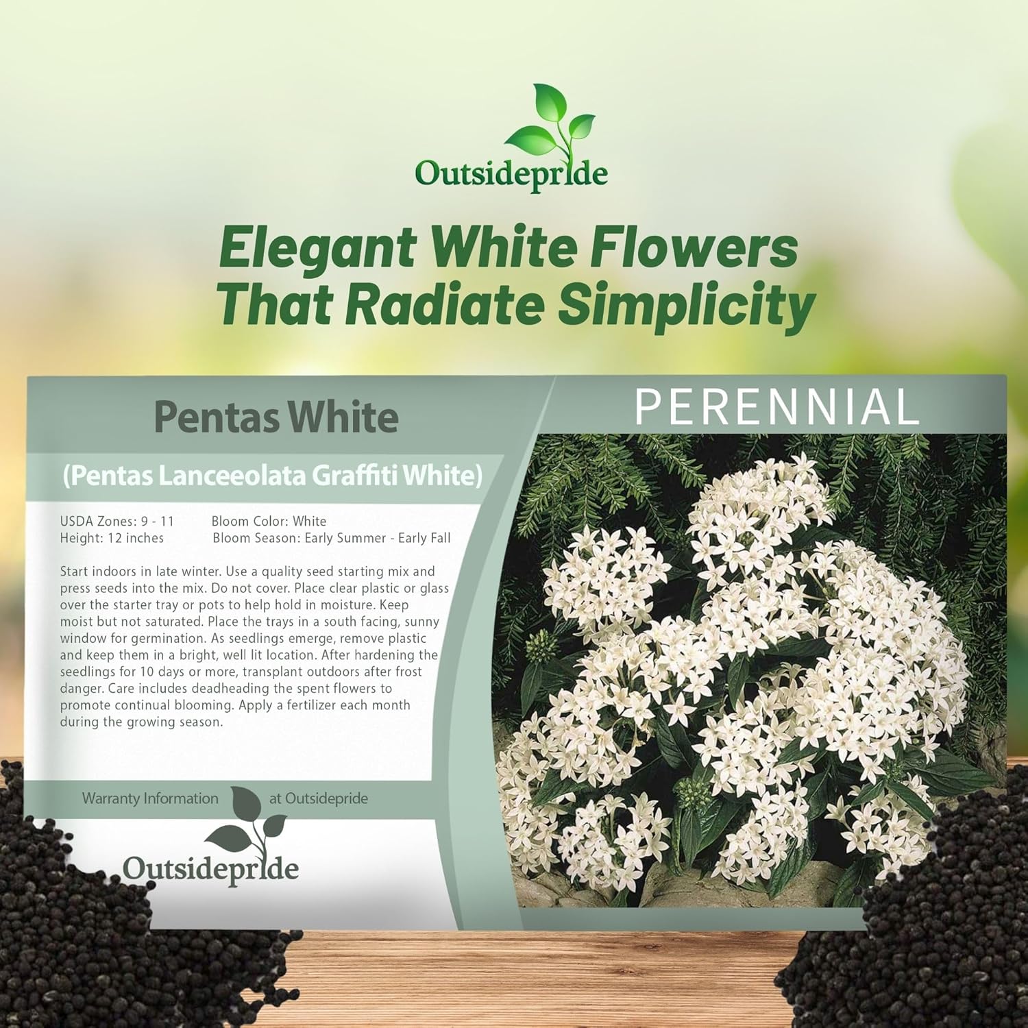 Pentas White Flower Seed Packet