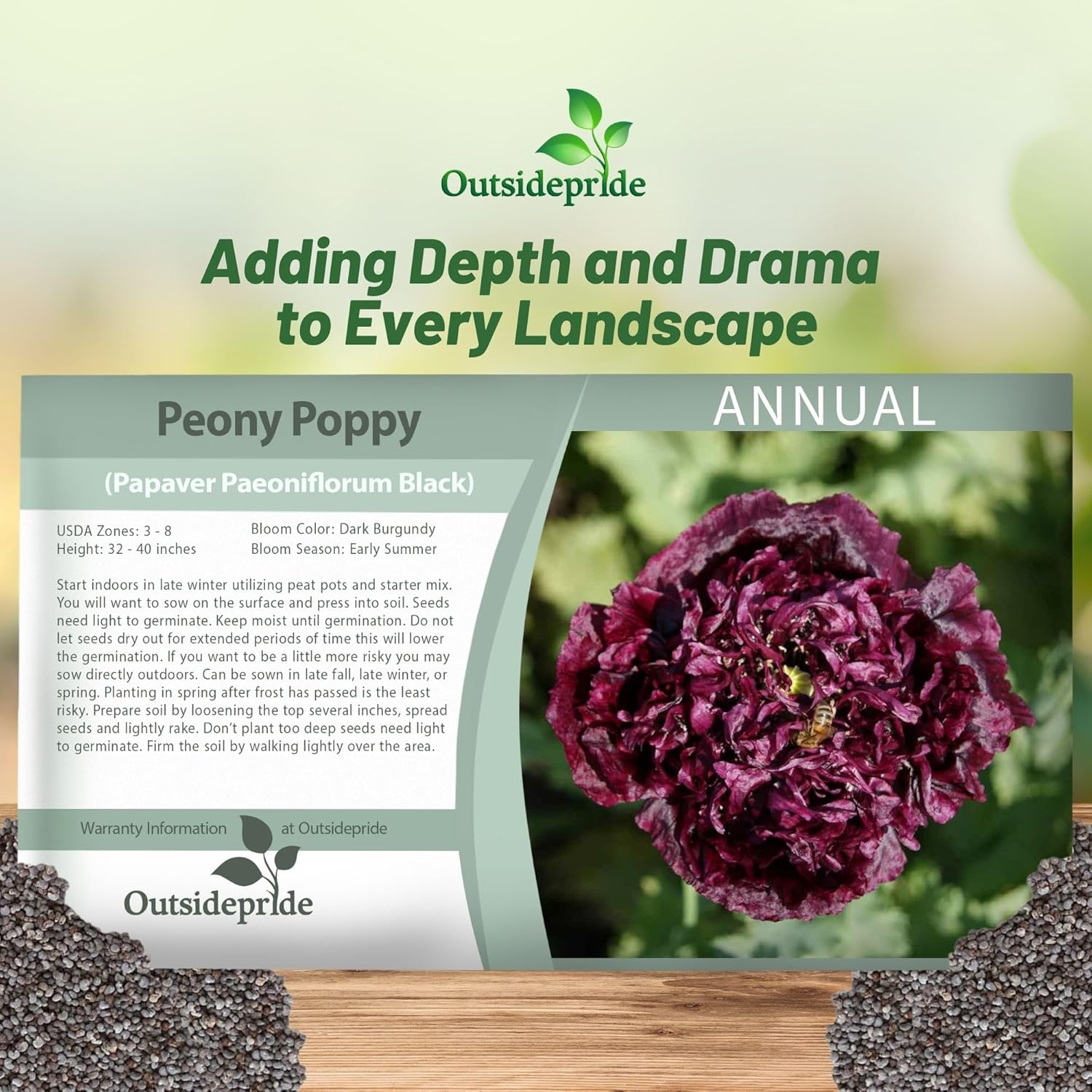 Papaver Paeoniflorum Black Seed Packet