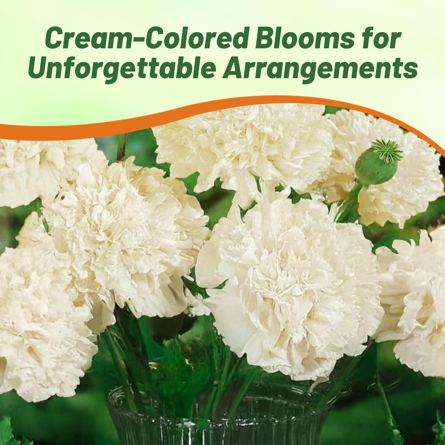 Peony Poppy Cream Cut Flowers
