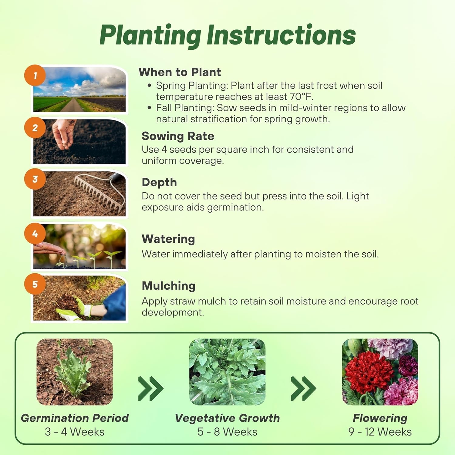 Peony Double Flower Seed Planting Directions