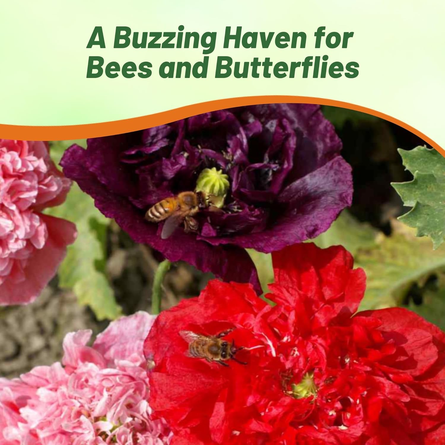 Peony Double Flower Pollinator Mix