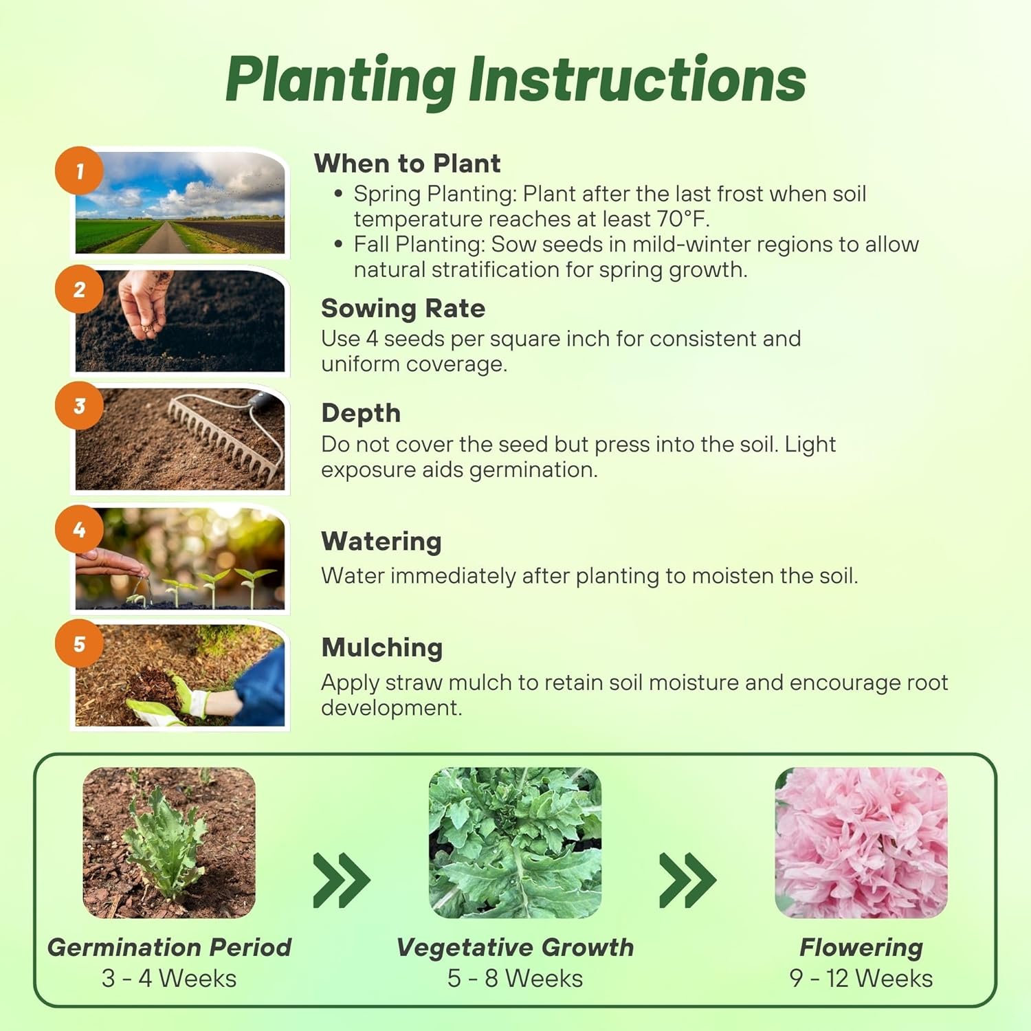 Peony Pale Rose Planting Directions