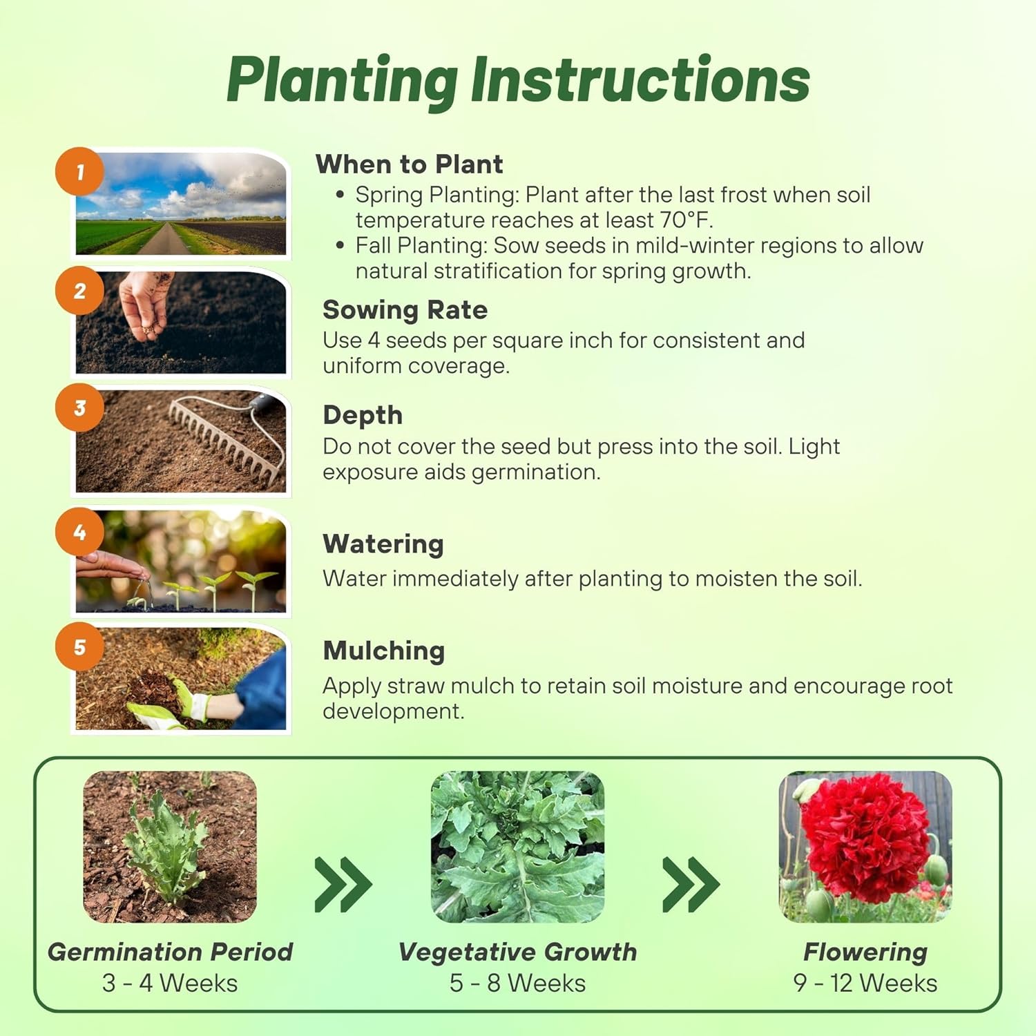 Peony Seeds Red Planting Directions