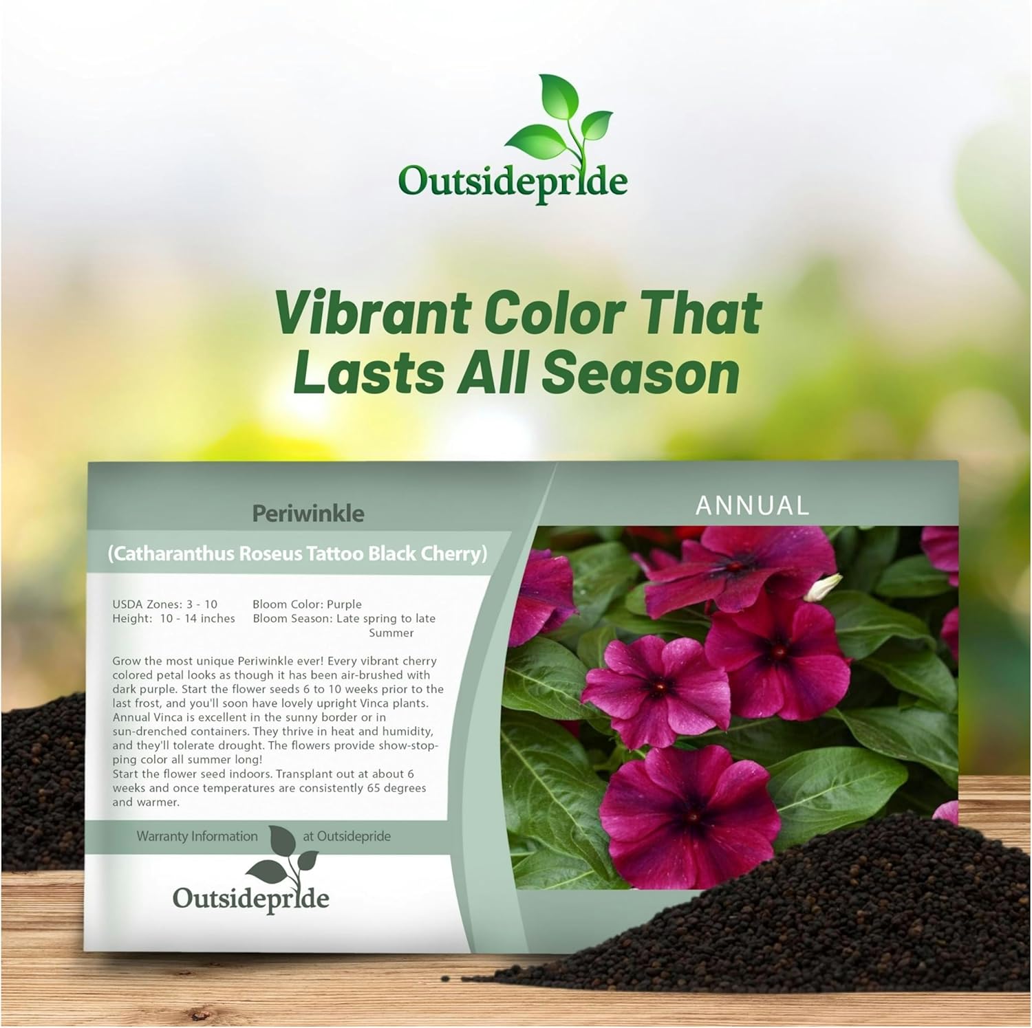 Vinca Black Cherry Seed Packet