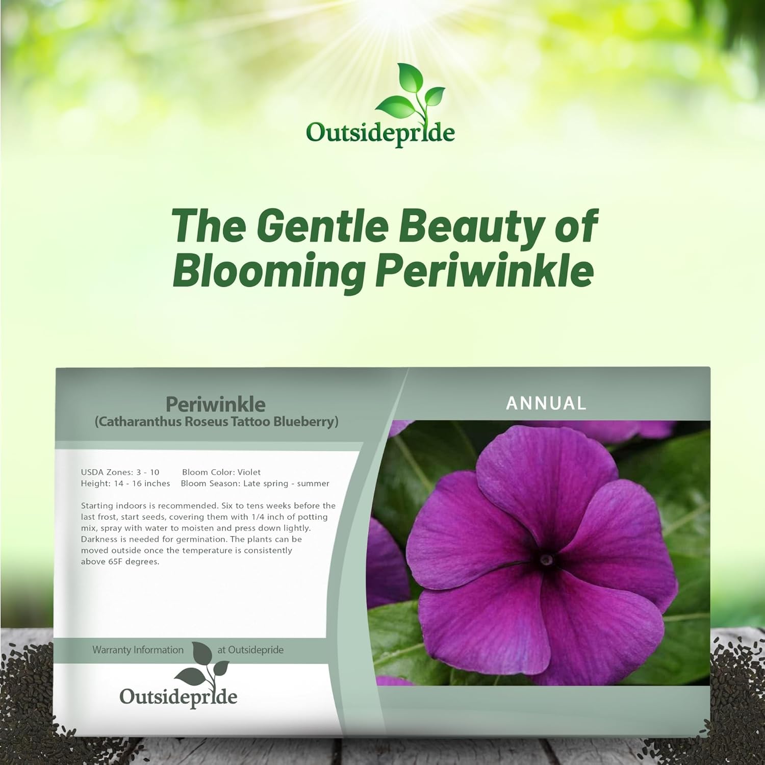 Vinca Tattoo Blueberry Seed Packet