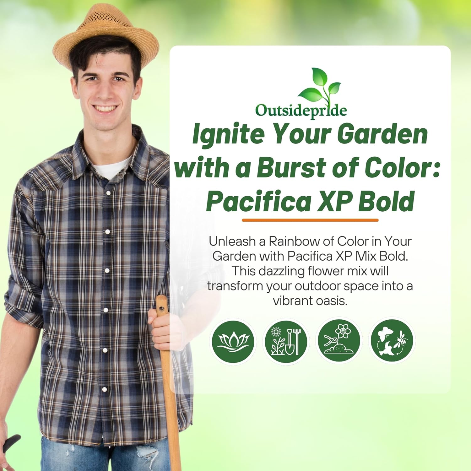 Periwinkle Pacifica XP Mix Bold Seed