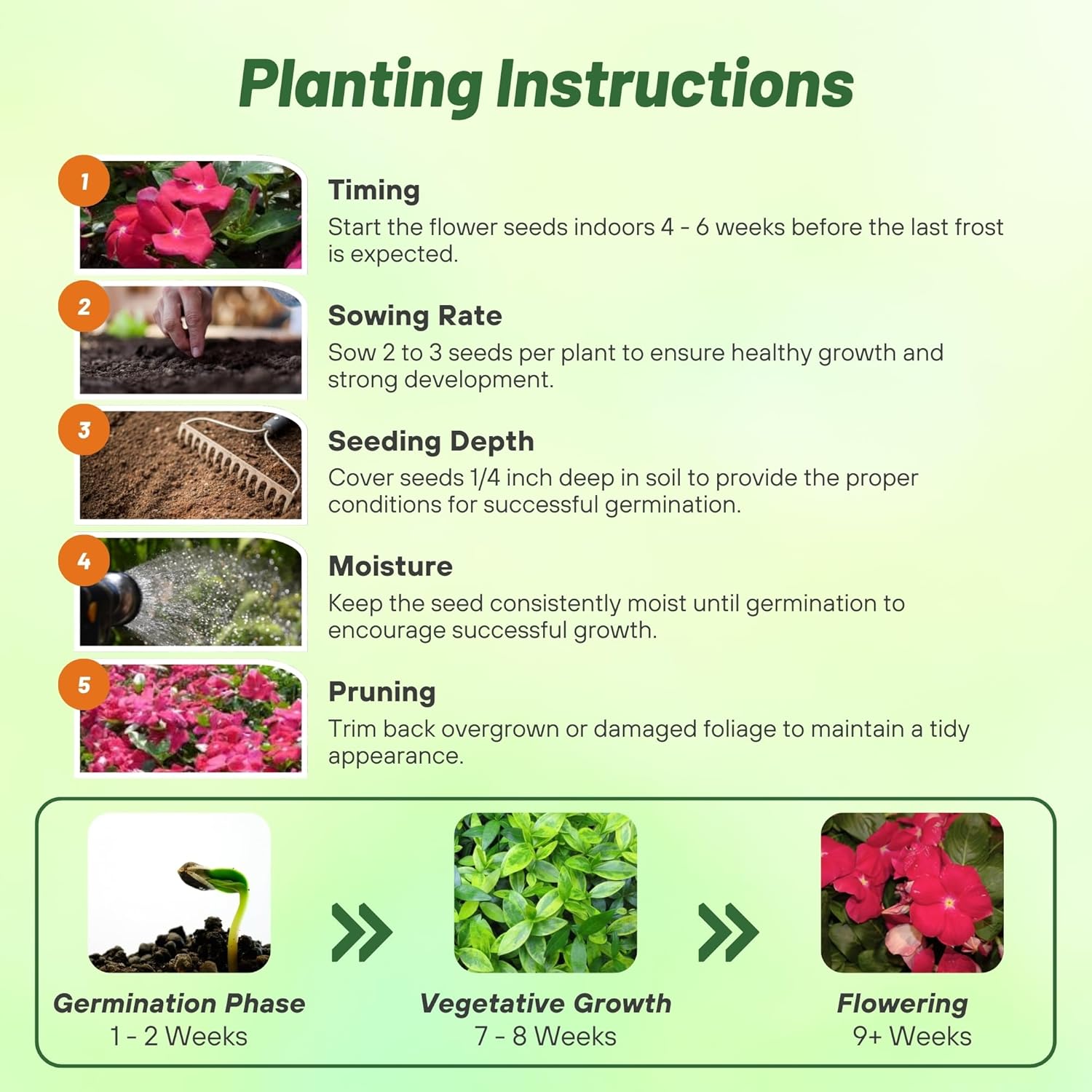 Vinca Cora Cascade Cherry Planting Directions