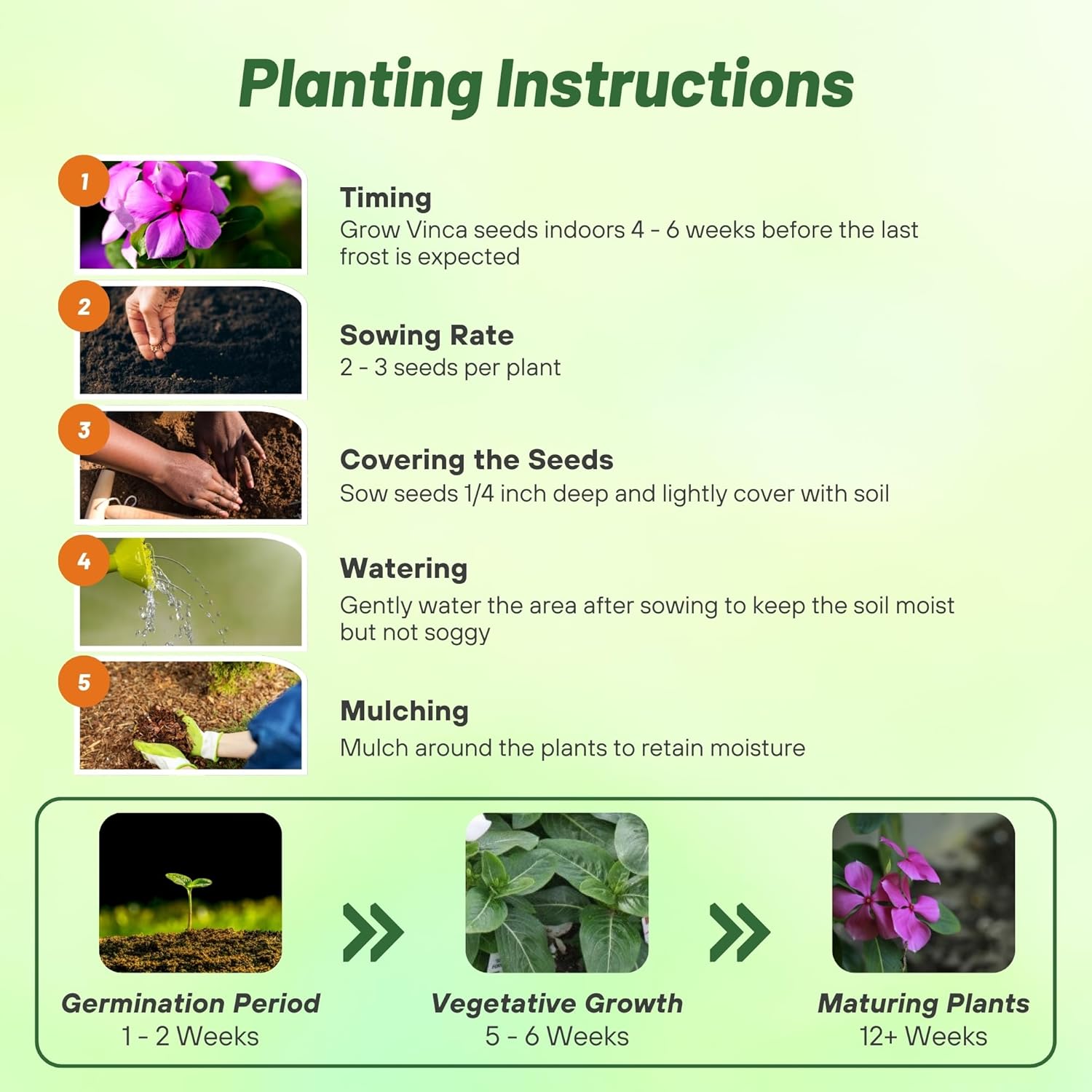 Vinca Titan Lilac Directions