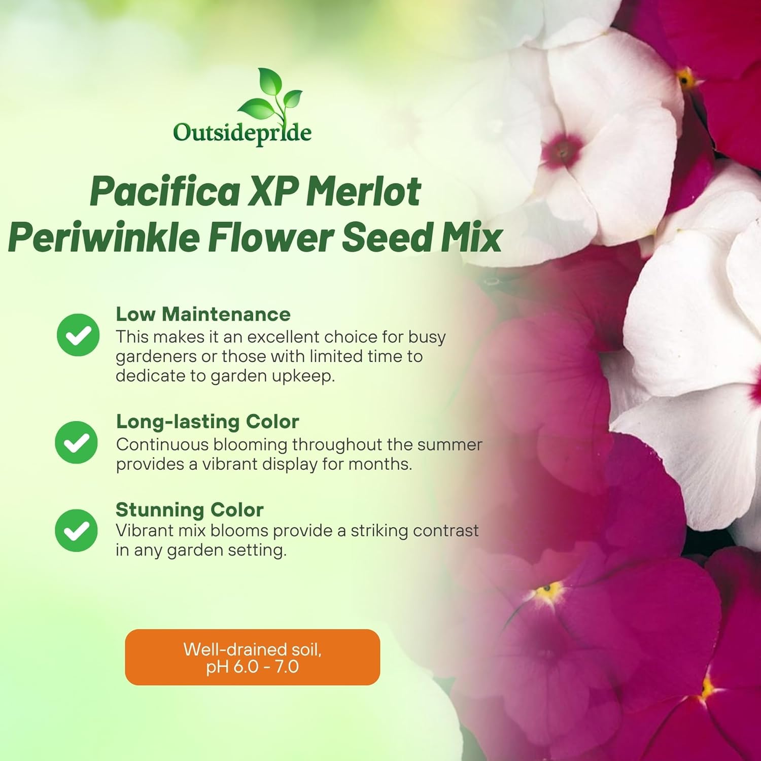 Periwinkle Mix Merlot Flowers