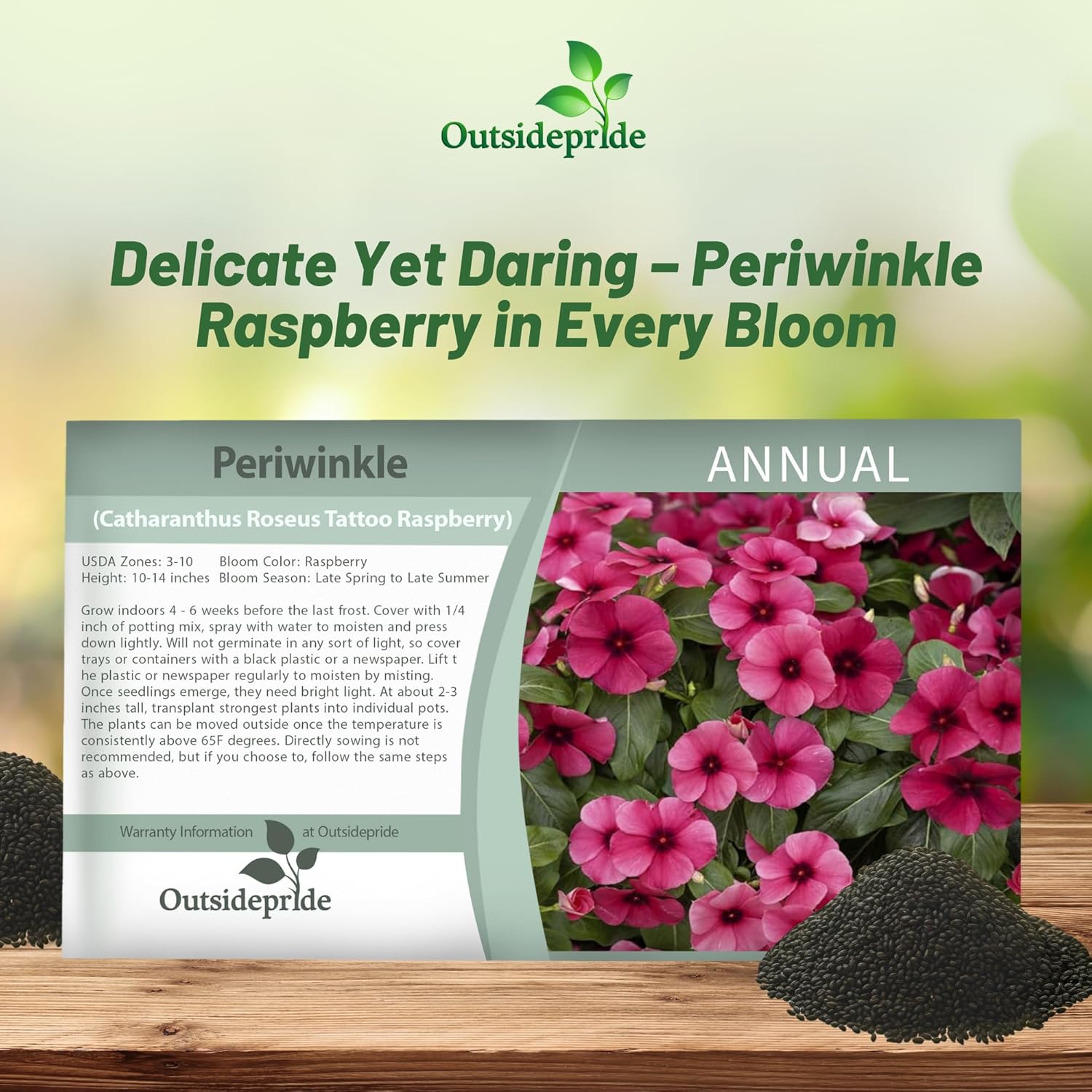 Vinca Raspberry Ground Cover Seed Packet