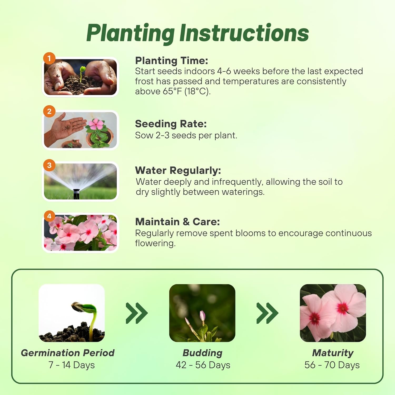 Vinca Titan Aprico Planting Directions