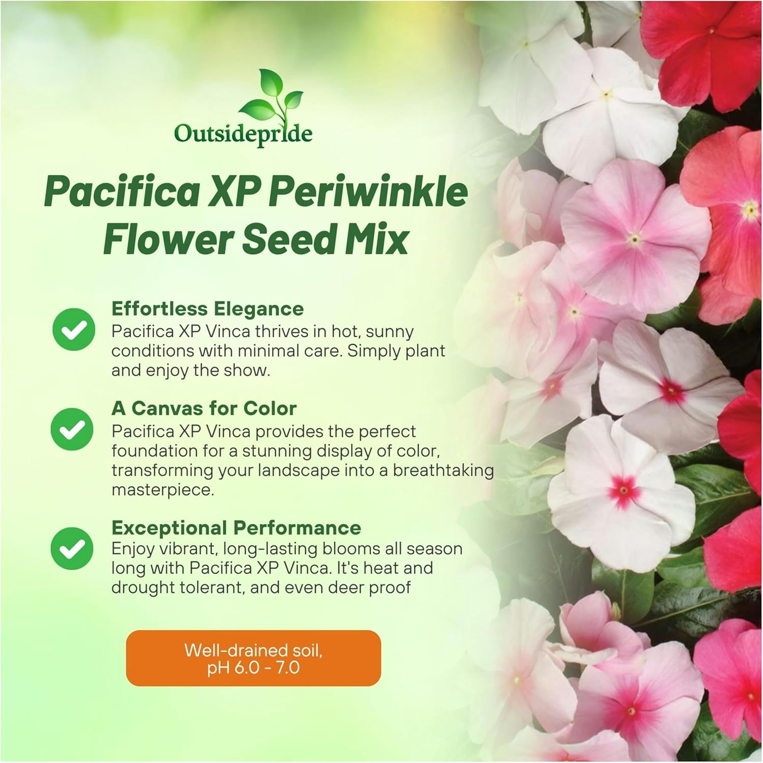 Vinca Pacifica XP Flower Mix