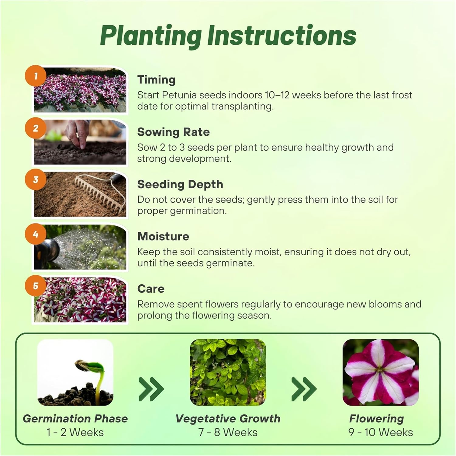 Easy Wave Burgundy Star Petunia Directions