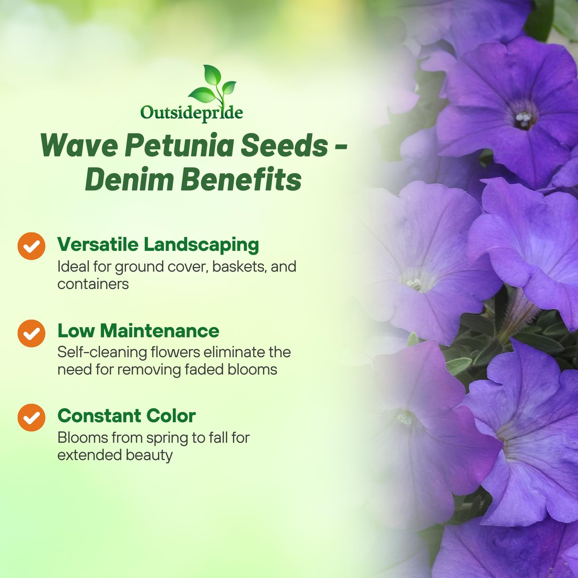 Blue Denim Petunia Flower Seed