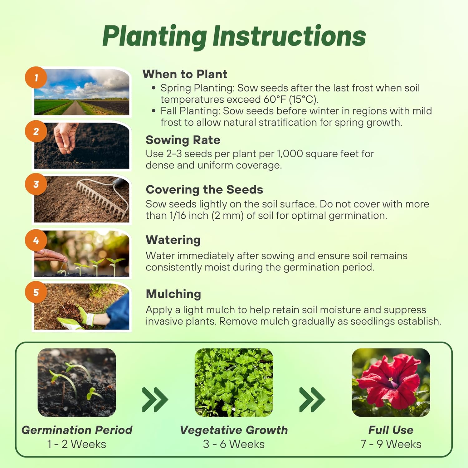 Petunia Red Flower Planting Directions