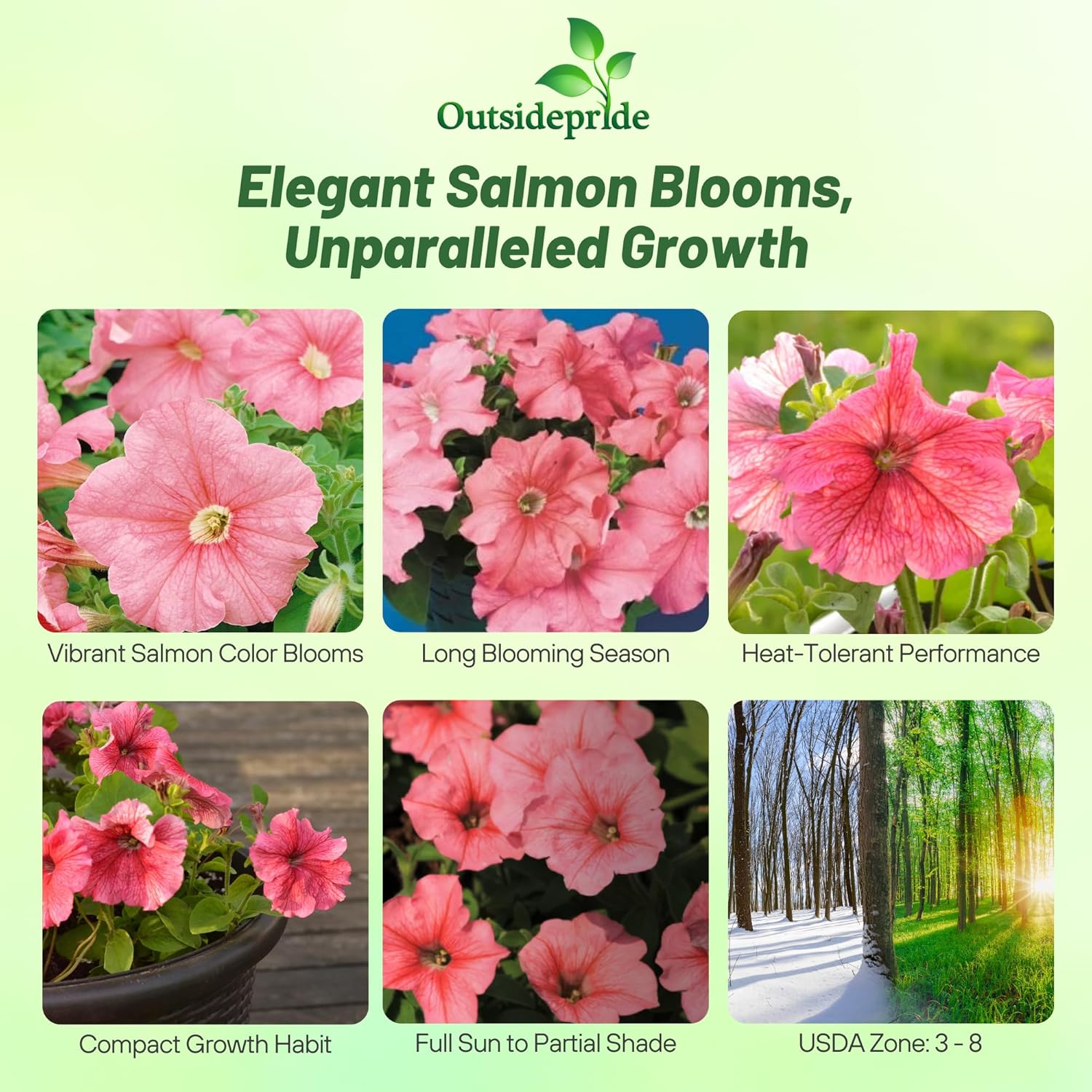 Petunia Salmon Seeds