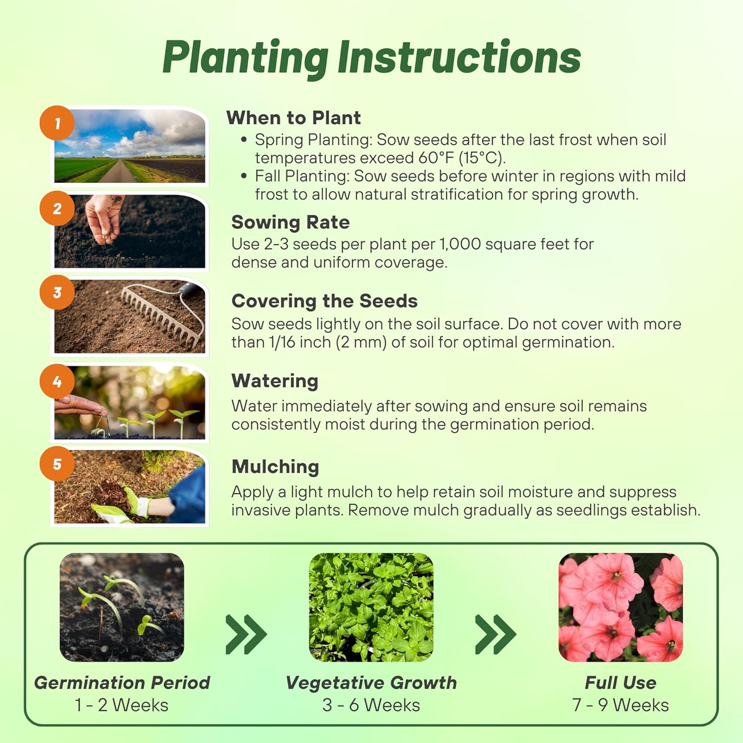 Petunia Salmon Planting Directions