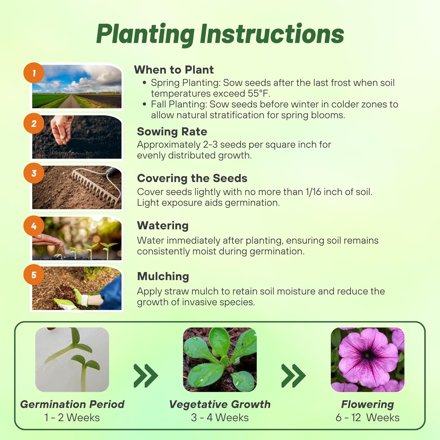 Easy Wave Plum Vein Petunia Directions