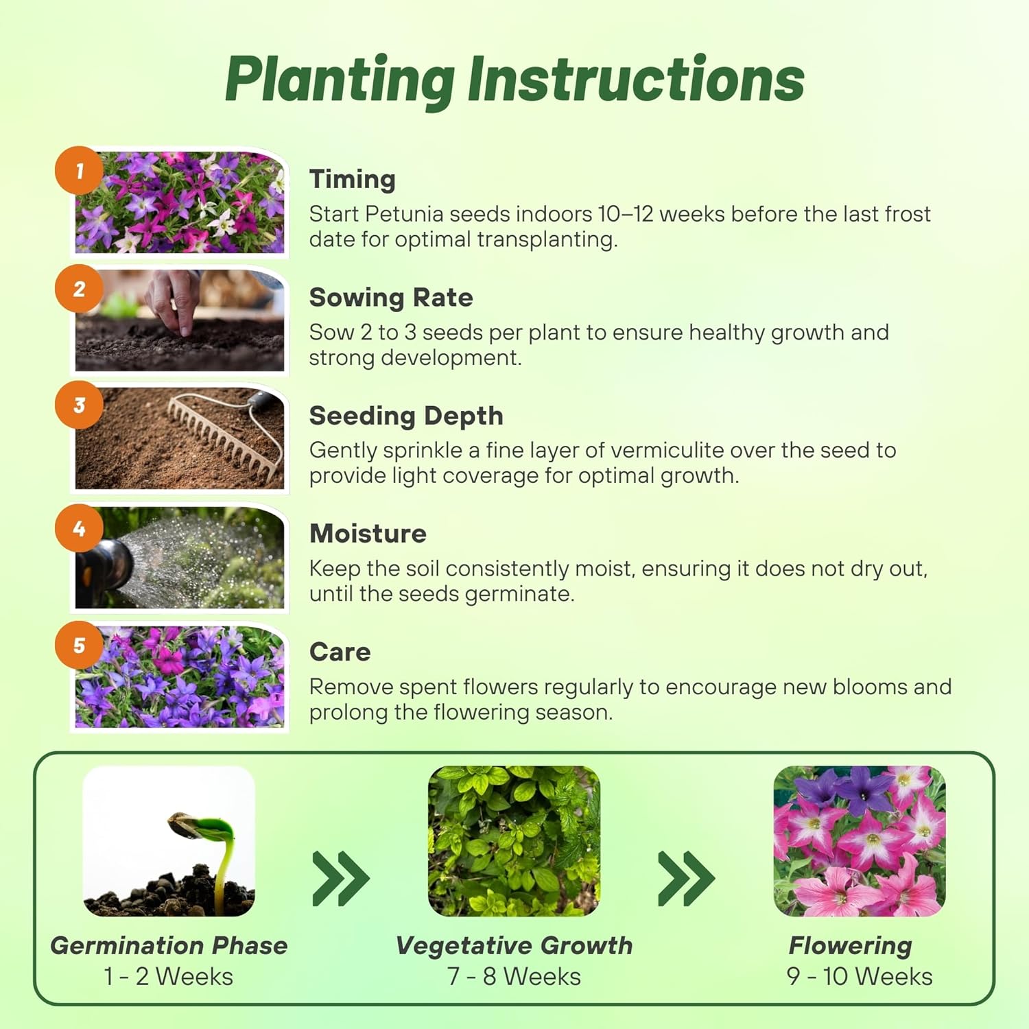 Petunia Sparklers Planting Directions