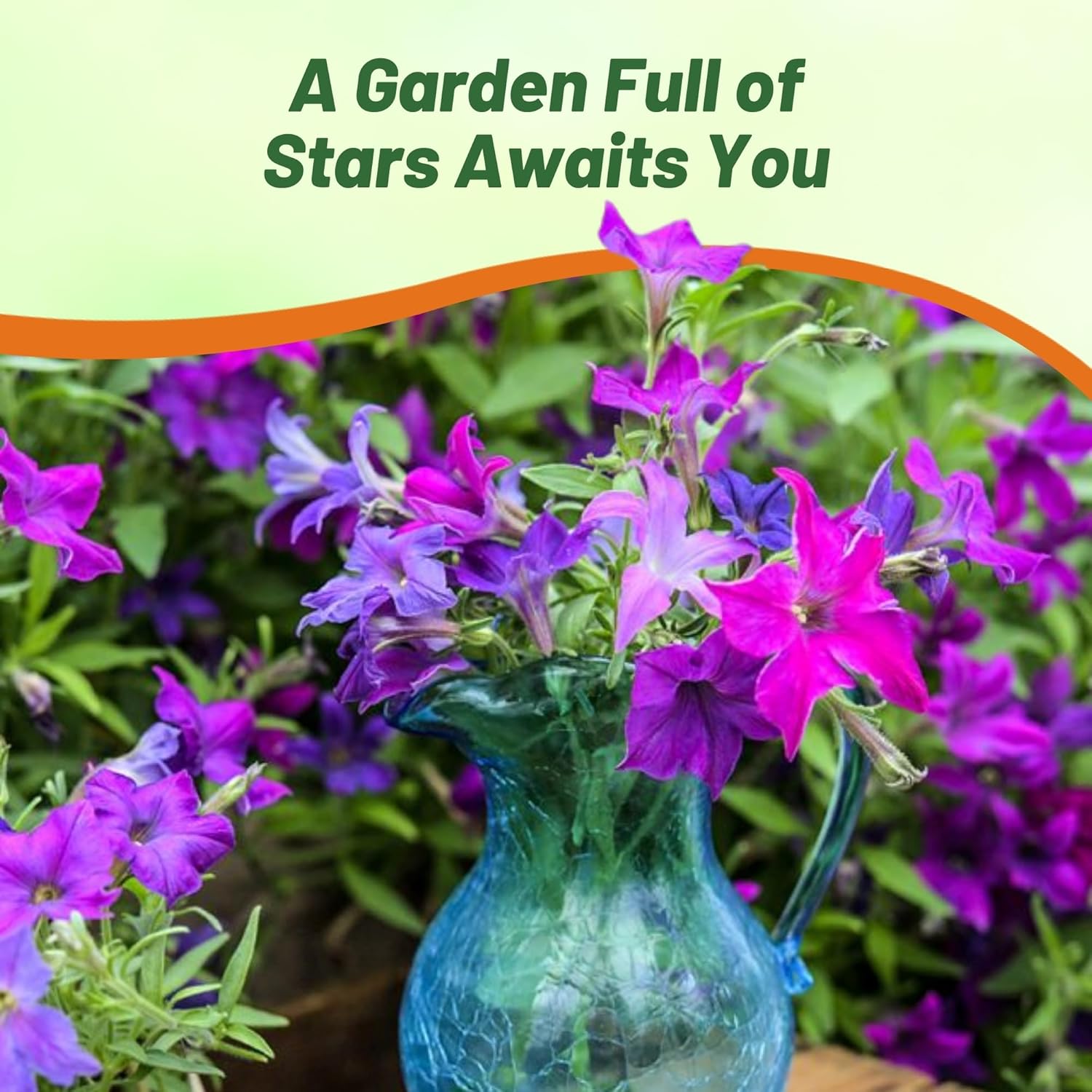 Petunia Sparklers Flower Seed Mix