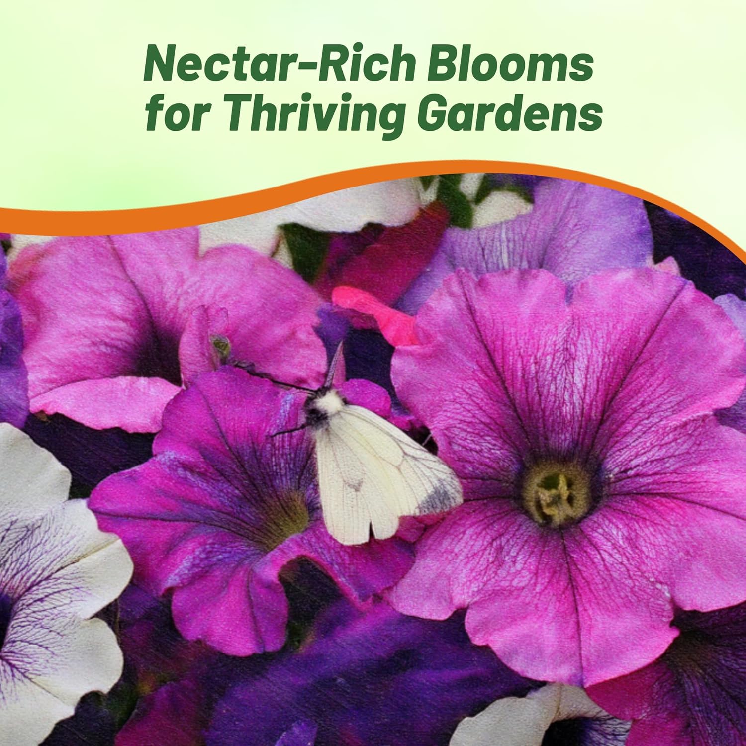 Shock Wave Spark Mix Petunia Flower Garden