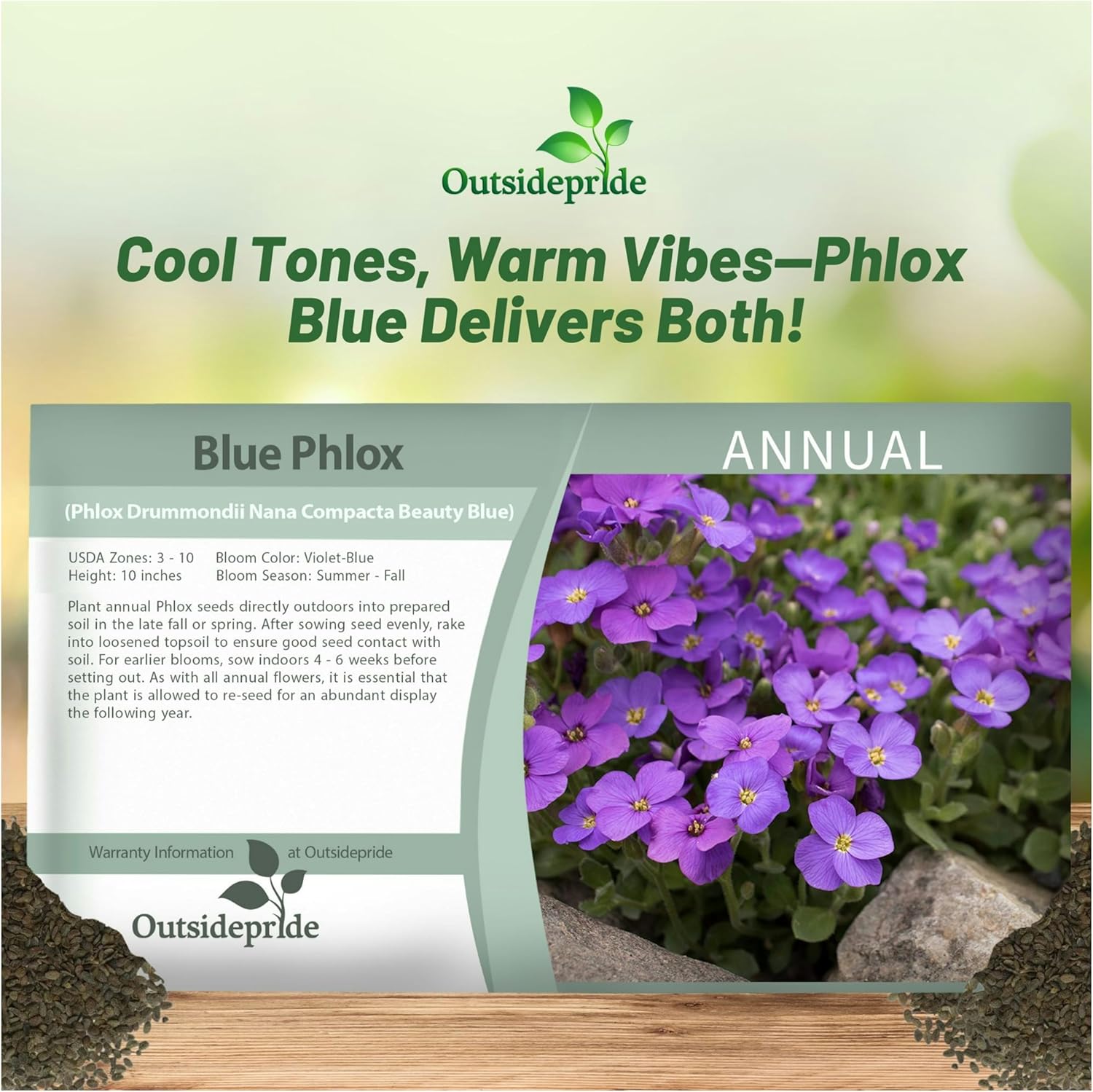 Drummondii Phlox Blue Seed Packet