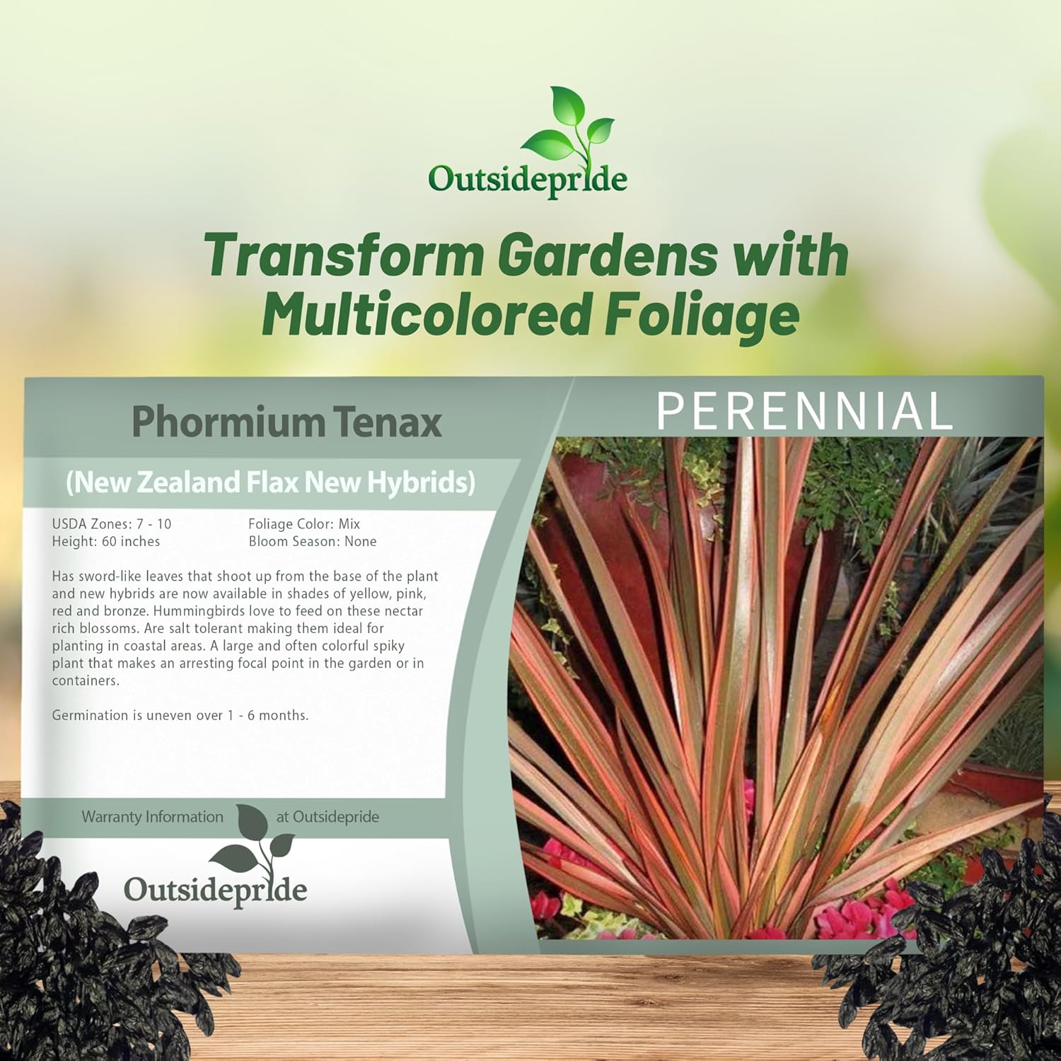 Phormium New Hybrids Seed Packet