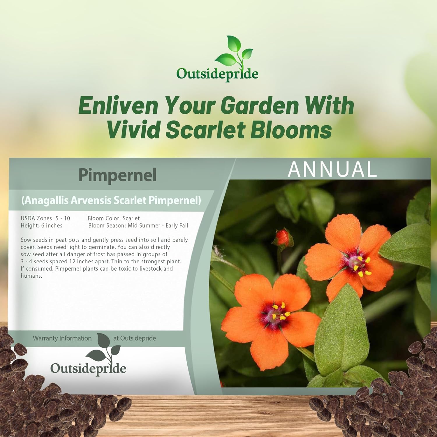 Scarlet Pimpernel Flower Seed Packet