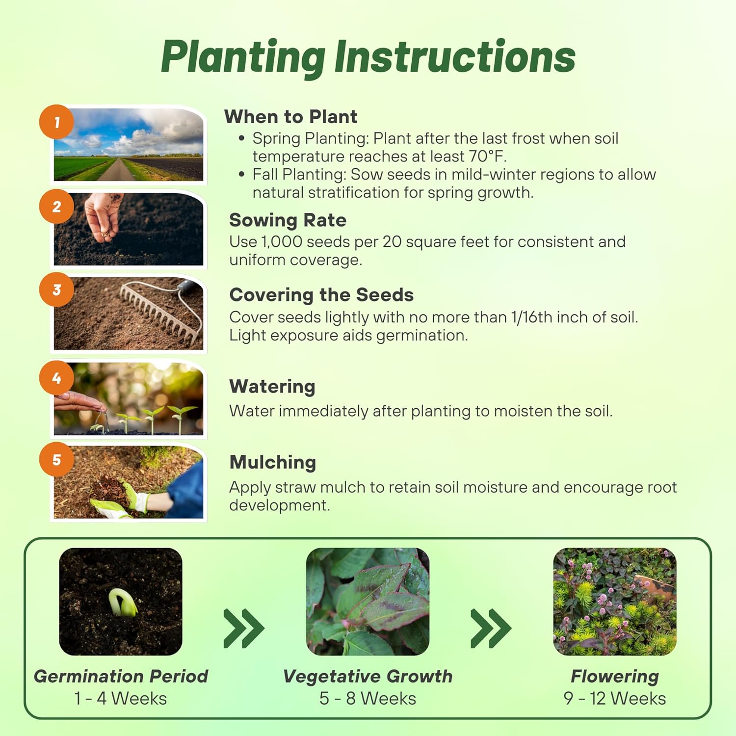 Pinkhead Smartweed Seed Planting Directions