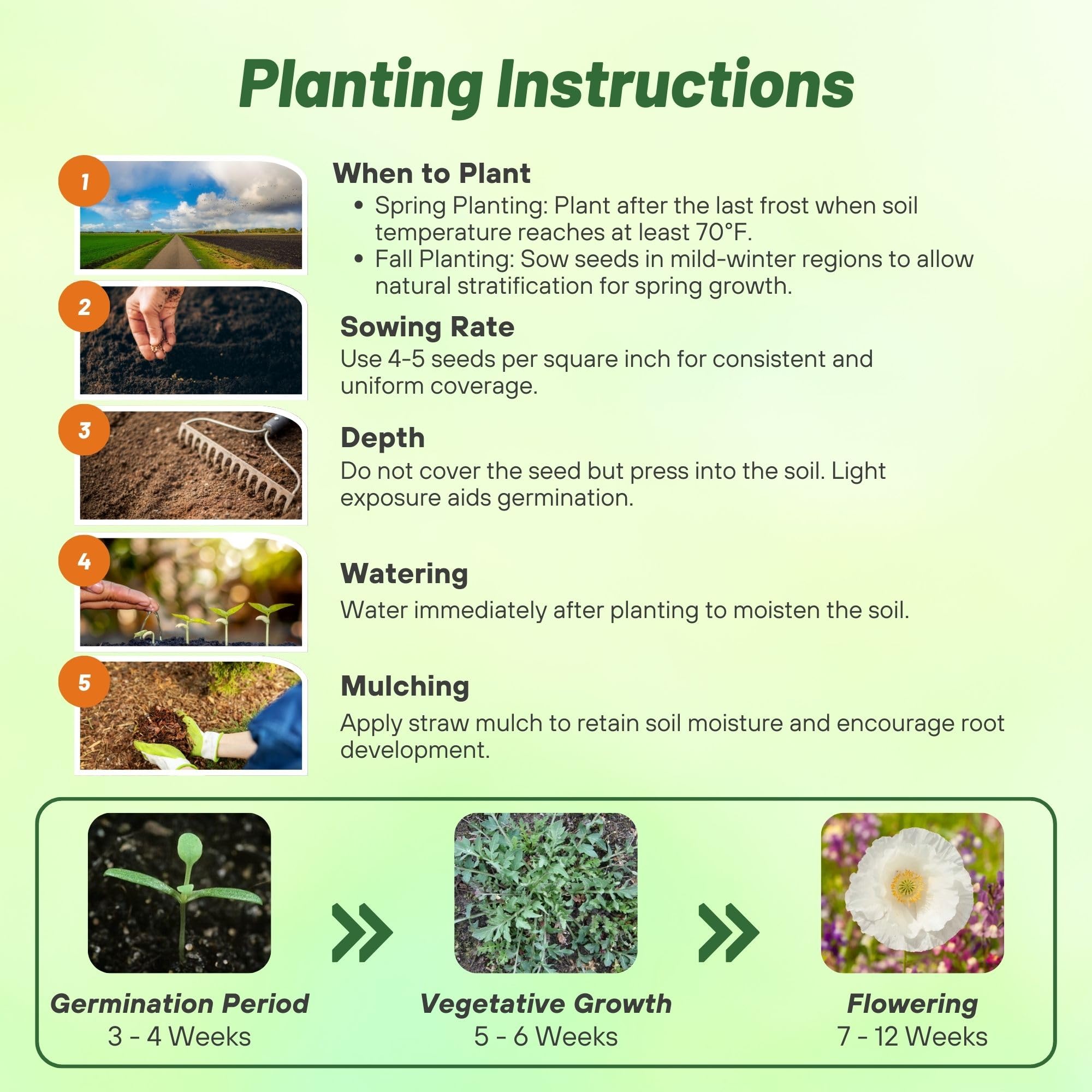 Poppy Bridal Silk Planting Directions