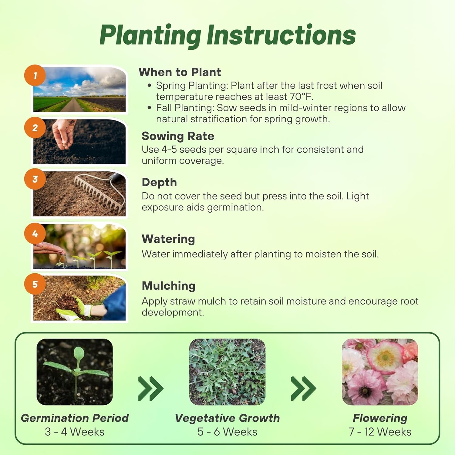 Papaver Angel's Choir Planting Directions class=