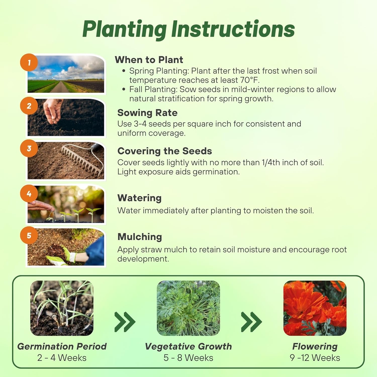California Poppy Copper Swirl Planting Directions
