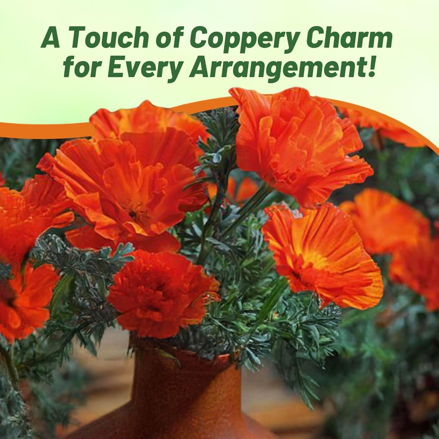 California Poppy Copper Swirl Cut Flower