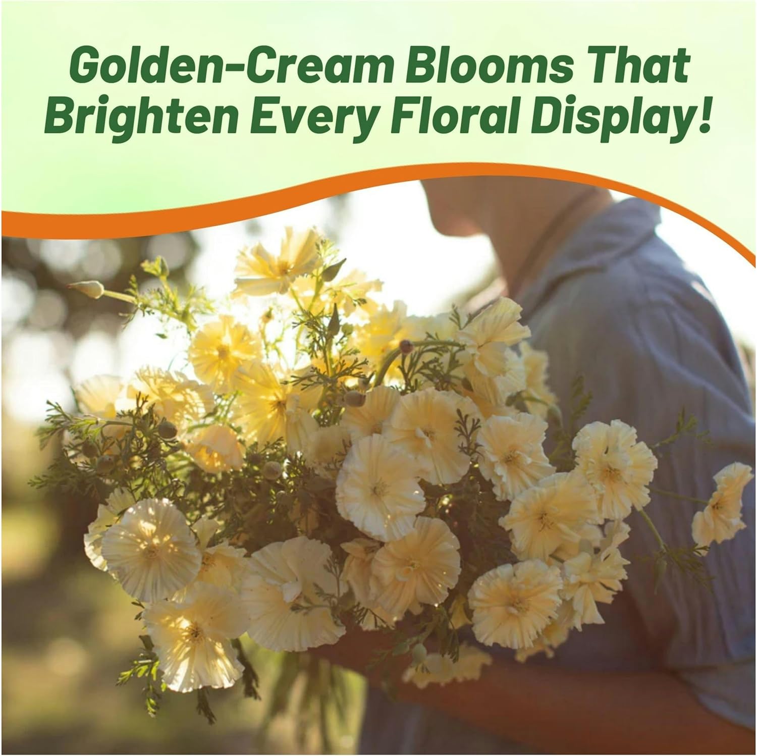 California Poppy Cream Swirl Bouquet
