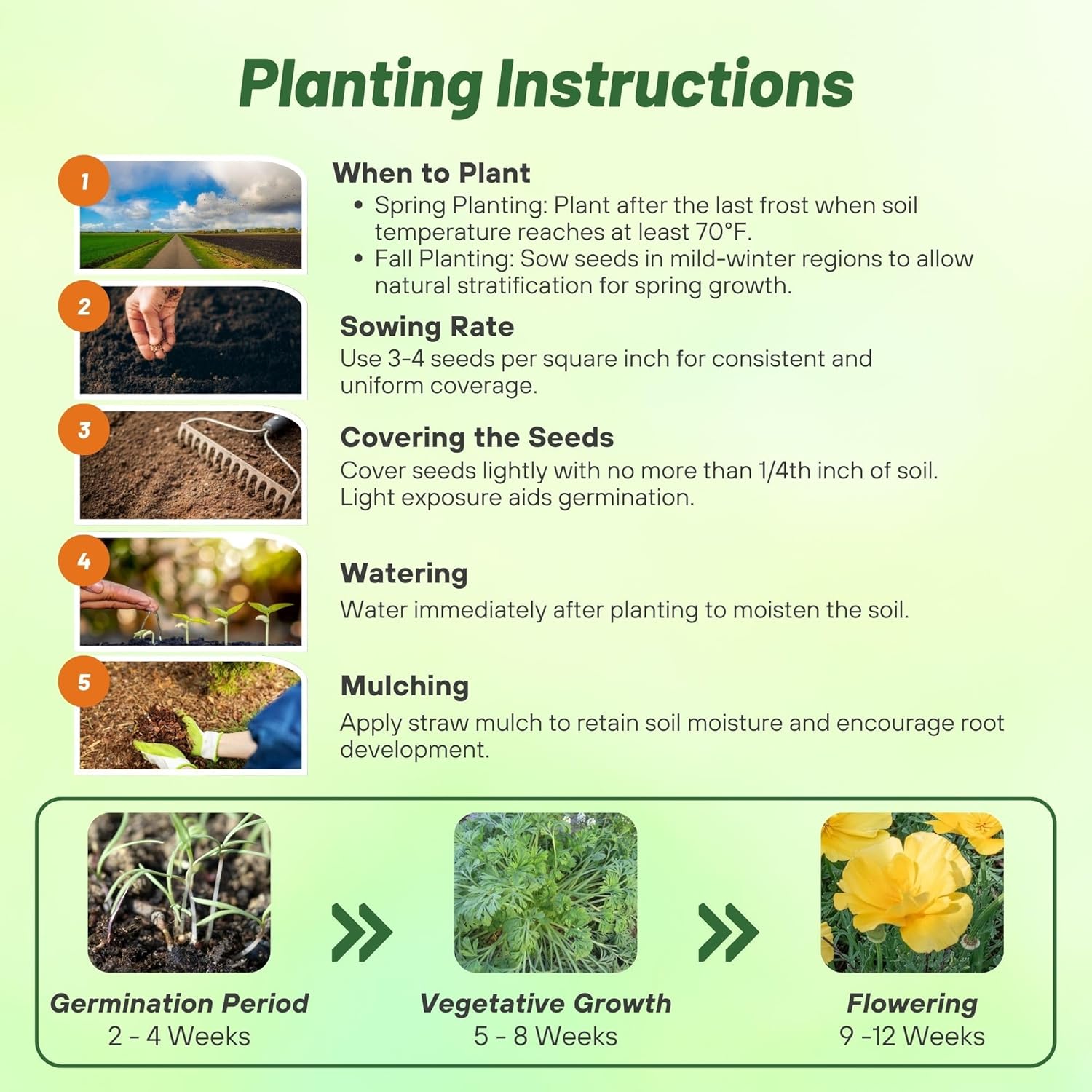 California Poppy Gold Swirl Planting Directions