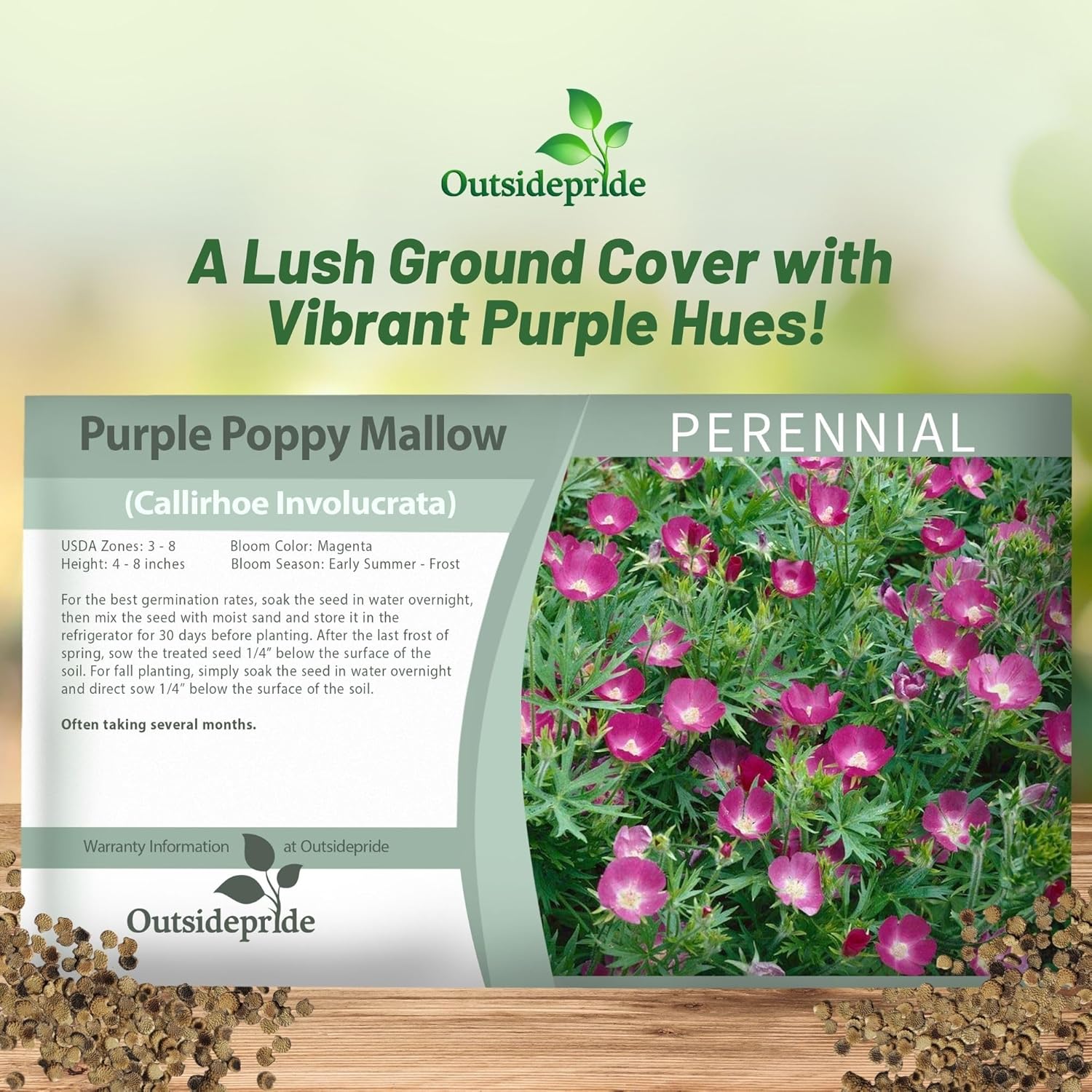 Purple Poppy Mallow Seed Packet