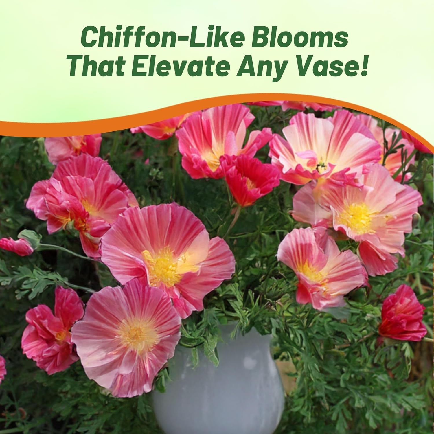 California Poppy Rose Chiffon Cut Flower