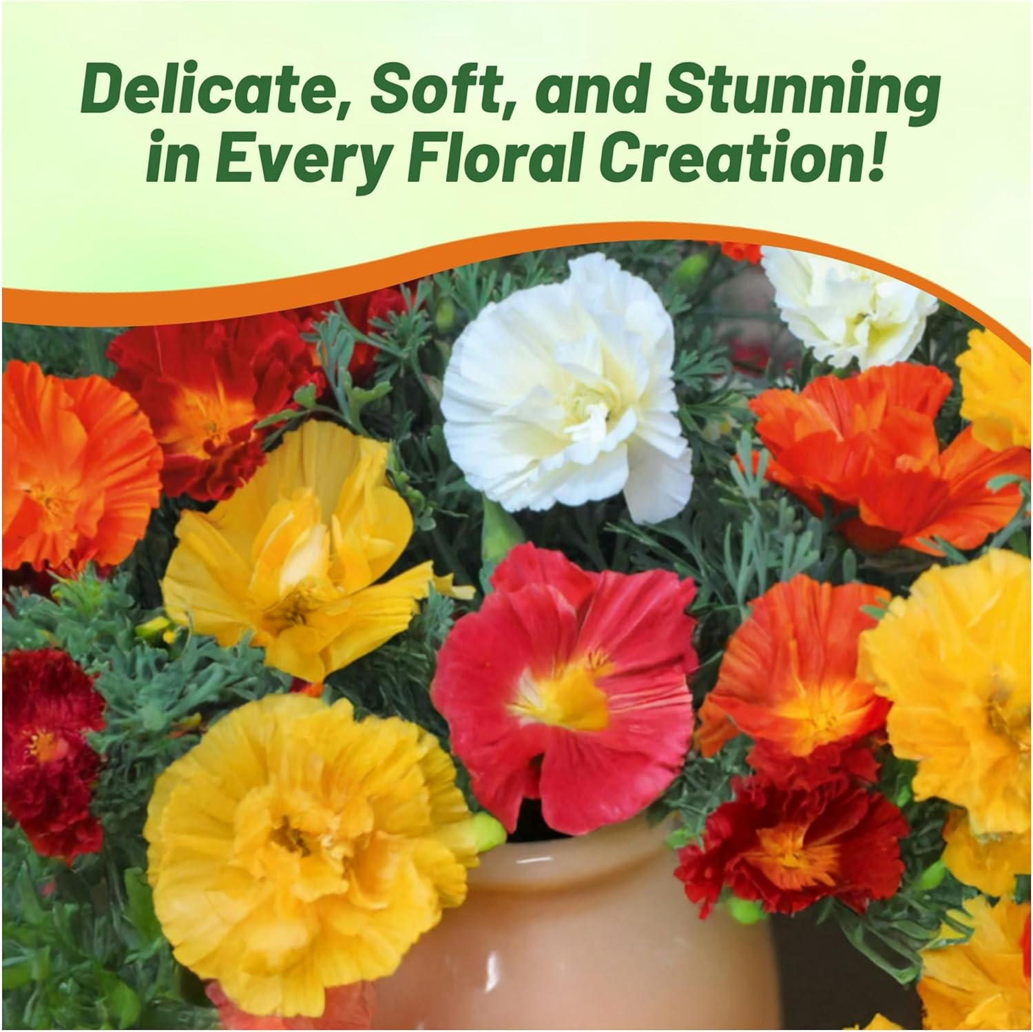 California Poppy Swirl Garden Flower Mix