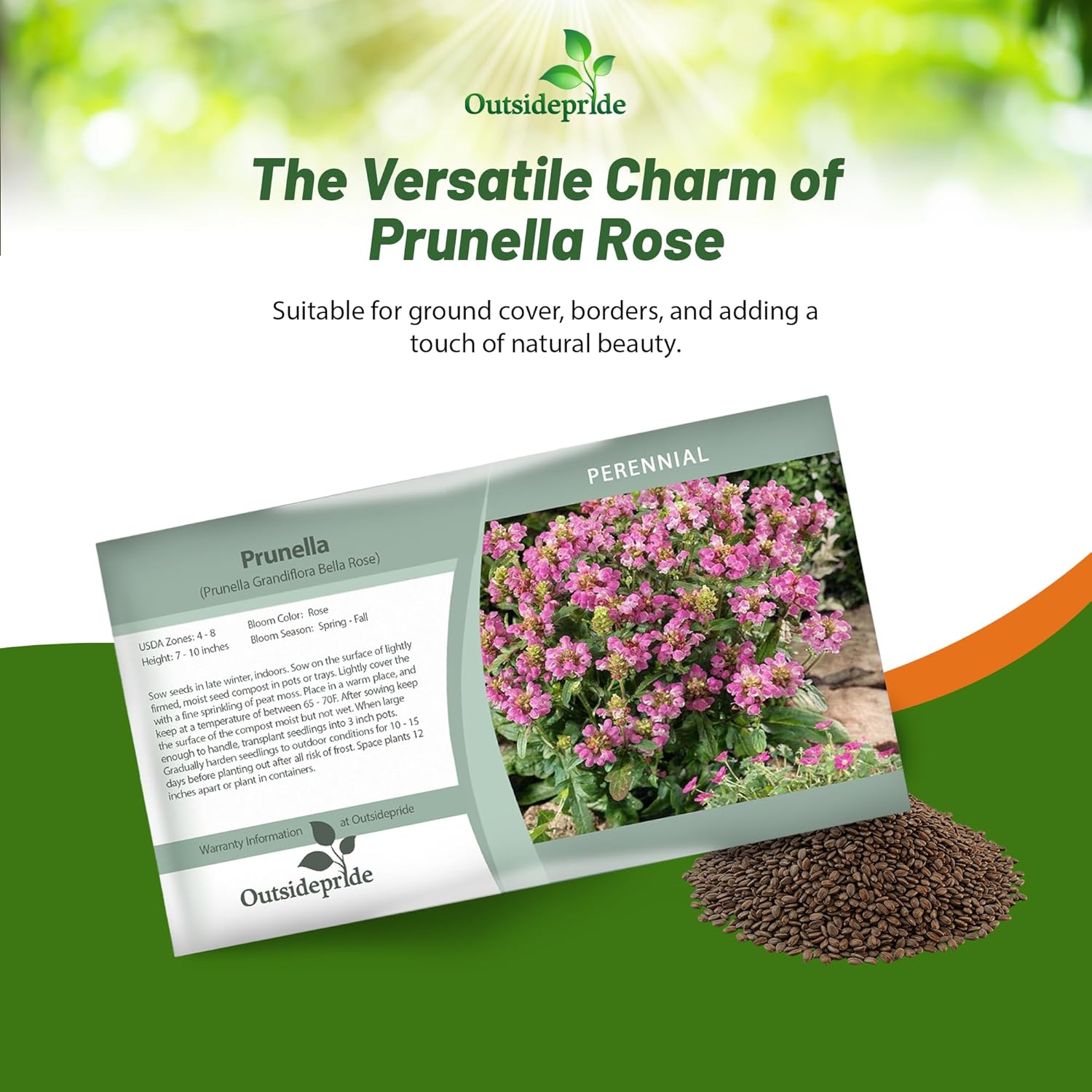 Prunella Rose Ground Cover Seed Packet