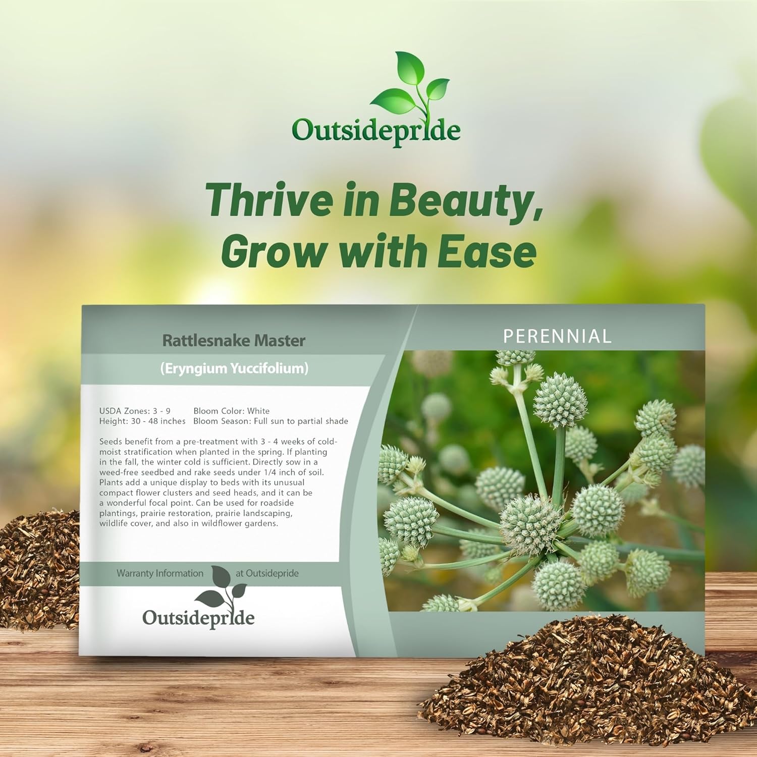 Perennial Rattlesnake Master Seed Packet