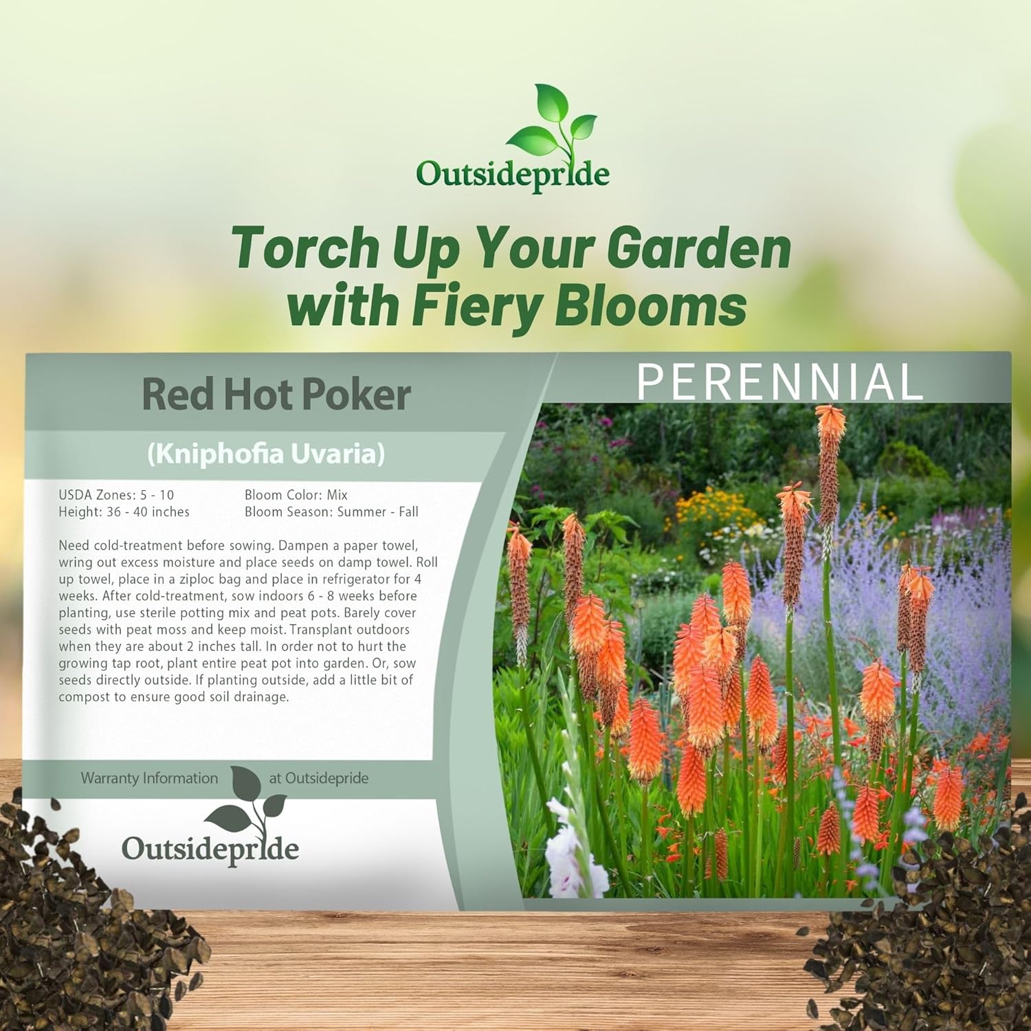 Red Hot Poker Flower Seed Packet