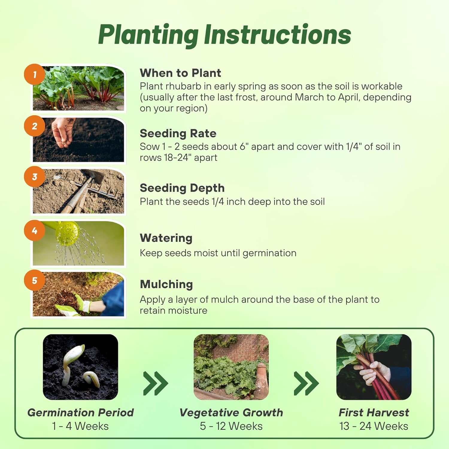 Rhubarb Victoria Seed Planting Directions