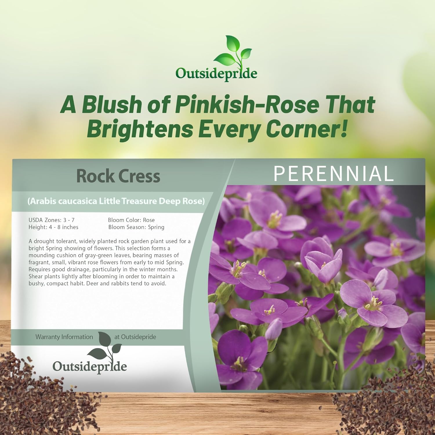 Arabis Deep Rose Seed Packet