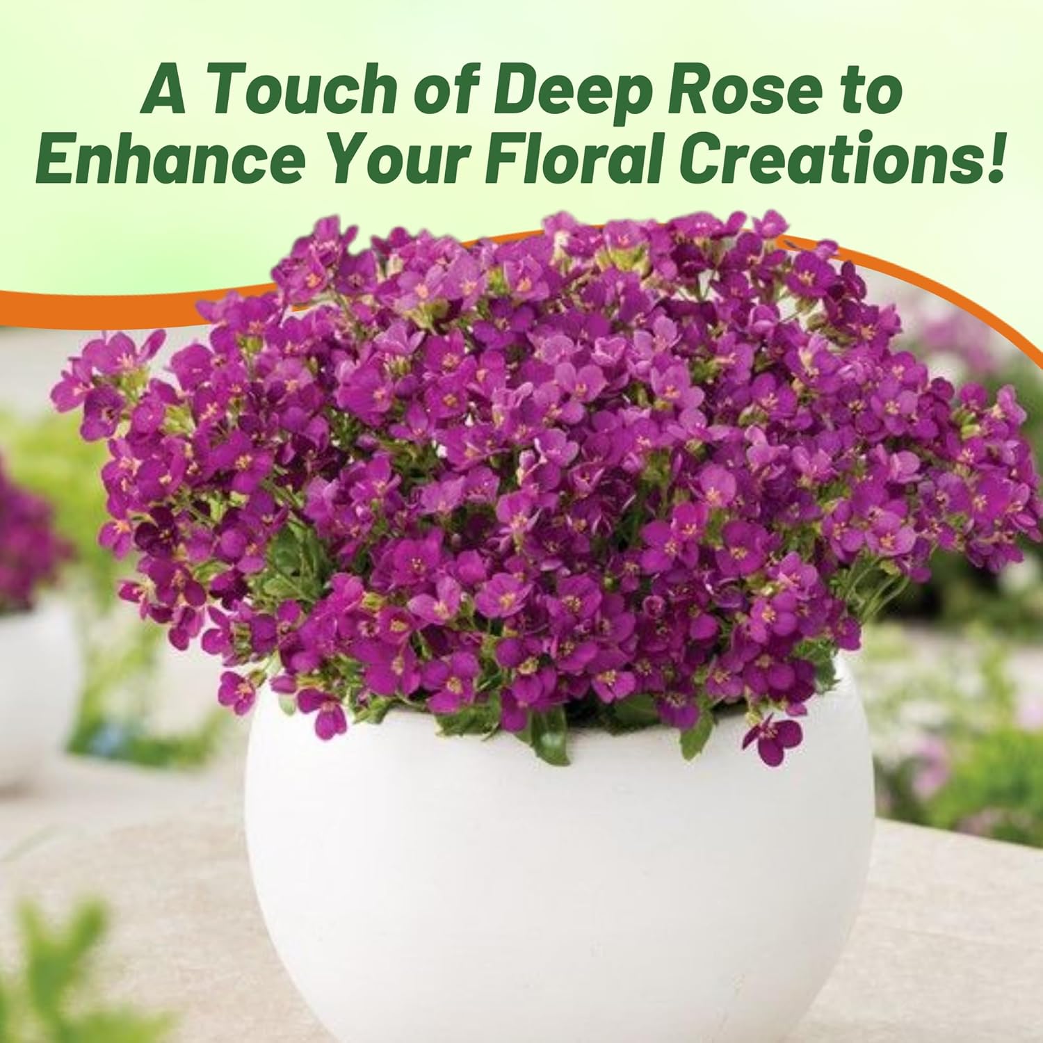 Rock Cress Deep Rose Ground Cover Plants