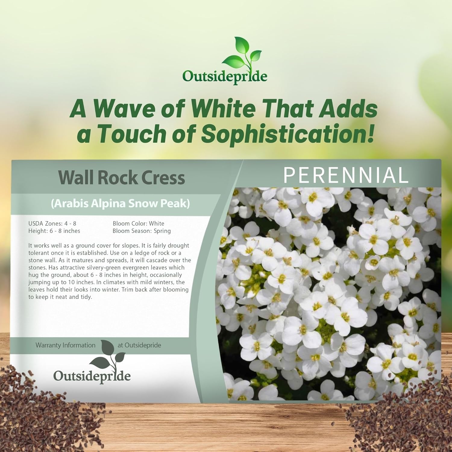 Arabis Rock Cress Snowpeak Seed Packets