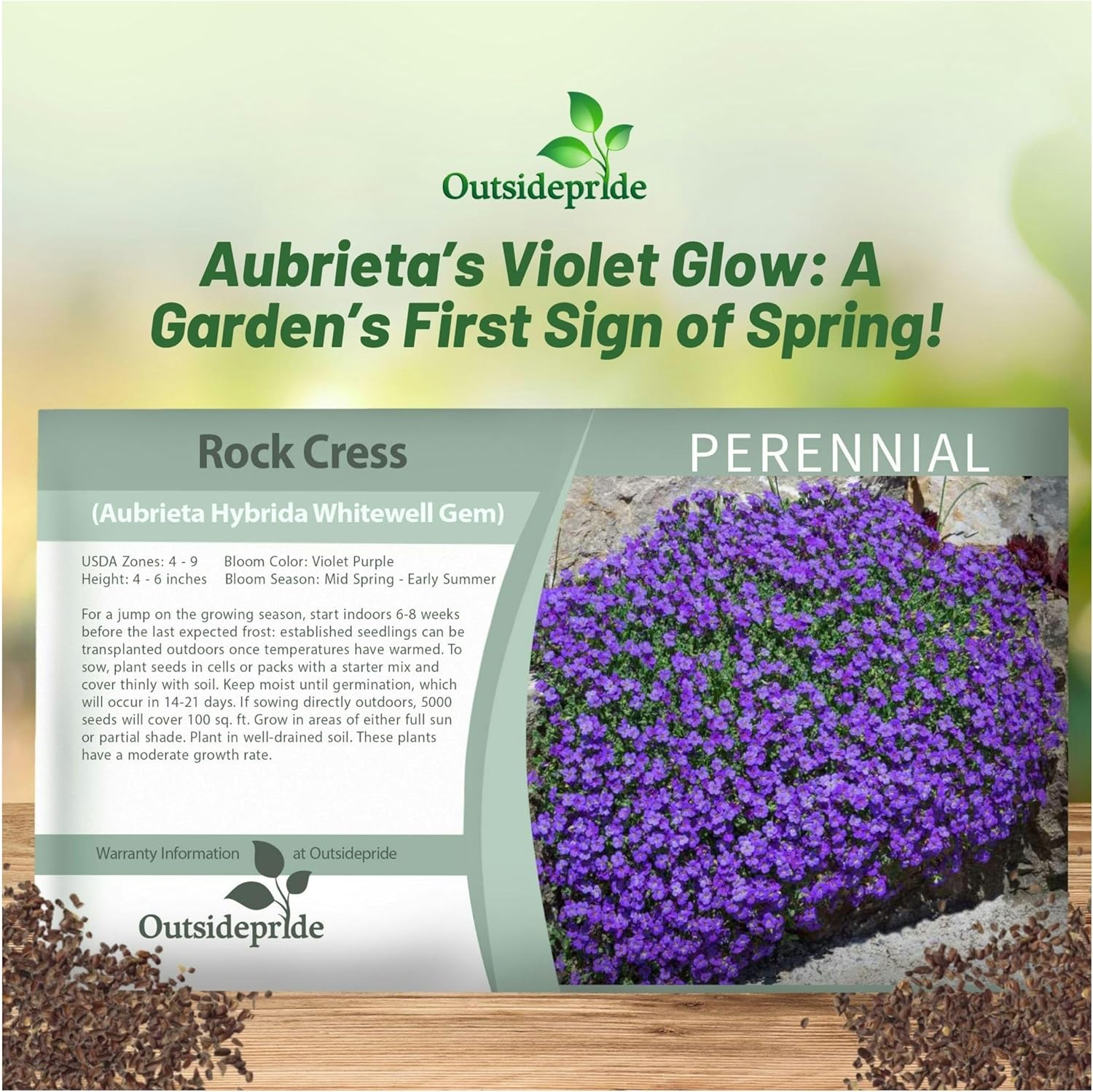 Compact Aubrieta Whitewell Gem Seed Packet