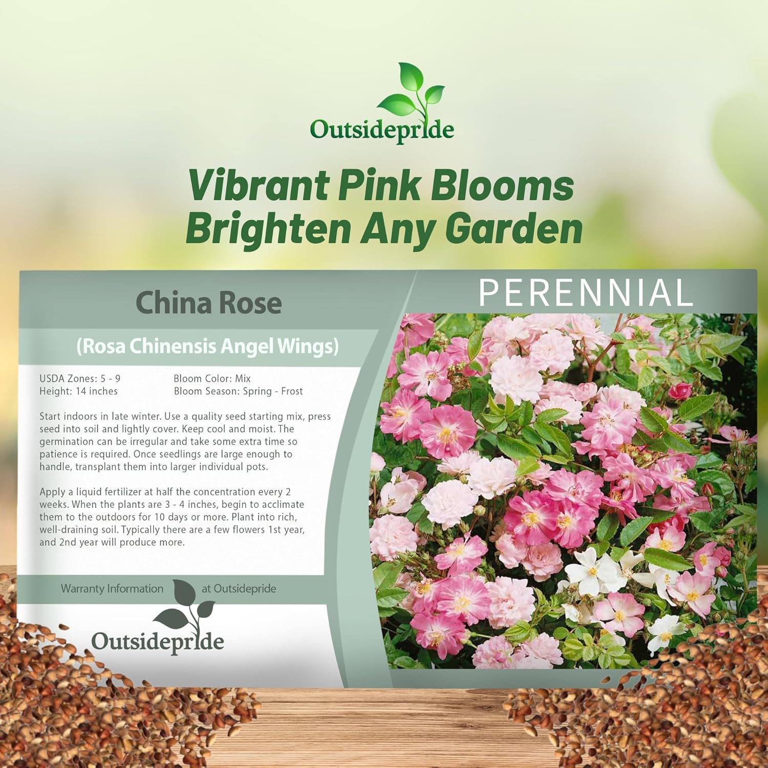 Rosa Chinensis Flower Seed Packet