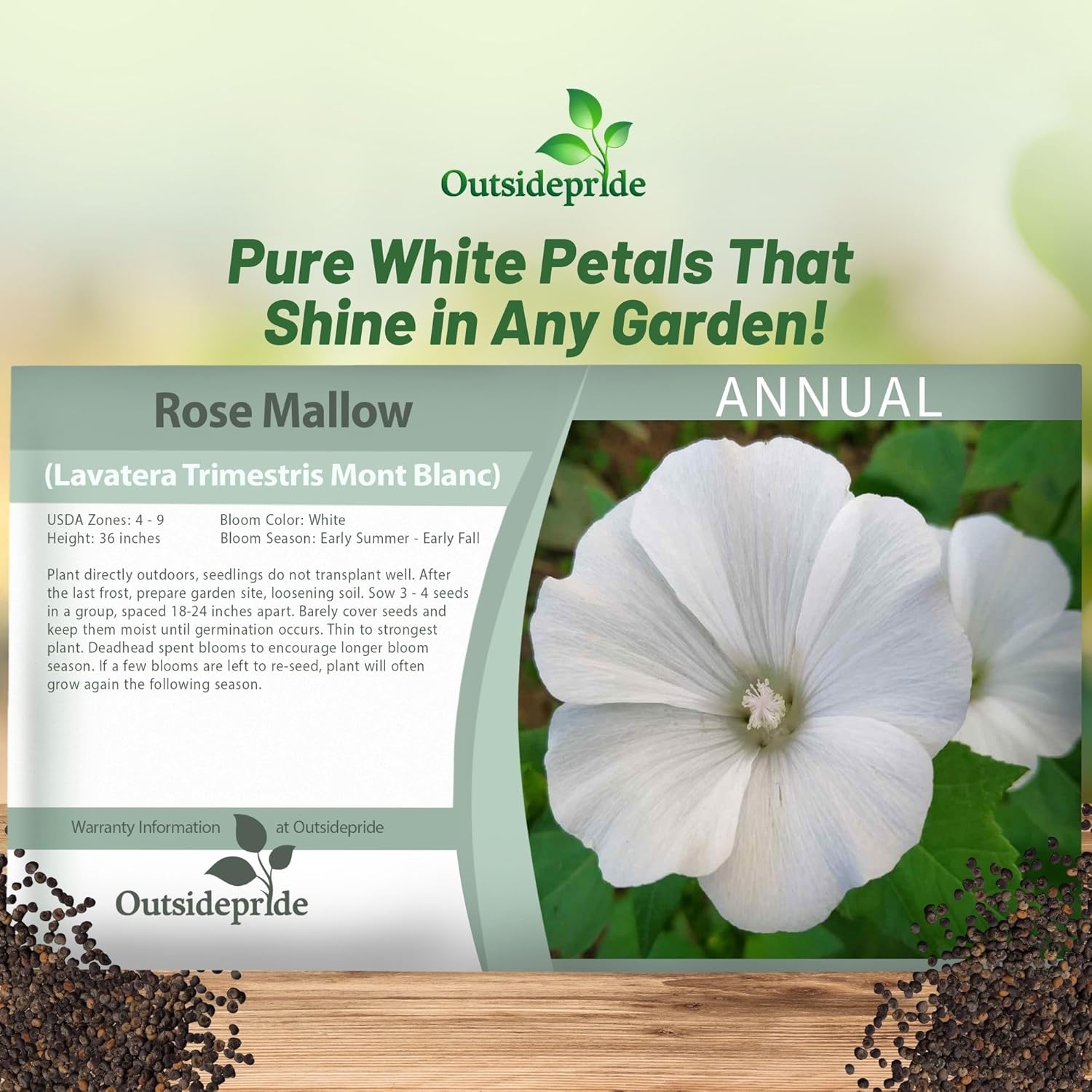 Rose Mallow Blanc Flower Seed Packet