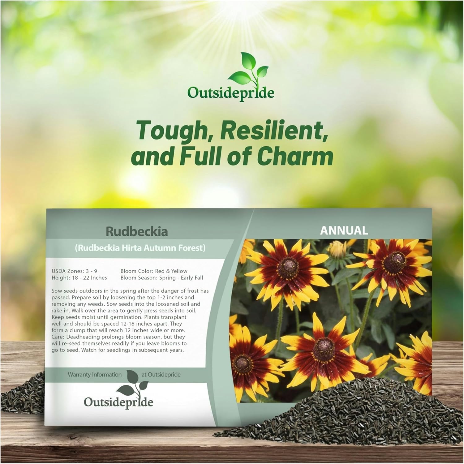 Rudbeckia Hirta Autumn Forest Seed Packet